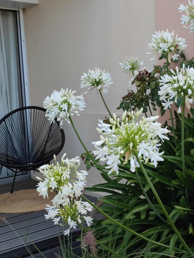Le 3 Appartement Vue Mer Avec Jardin 100M De La Plage Et De La Thalasso コンカルノー エクステリア 写真