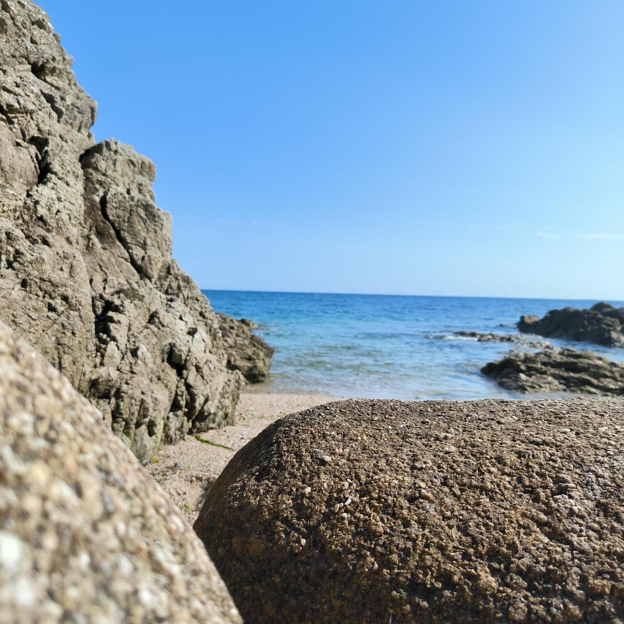 Le 3 Appartement Vue Mer Avec Jardin 100M De La Plage Et De La Thalasso コンカルノー エクステリア 写真